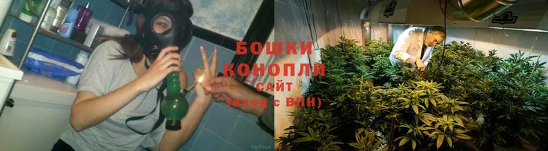 где купить   Тюкалинск  Конопля Ganja 